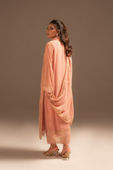 3 Piece Chiffon Embroidered Suit (FL0040)